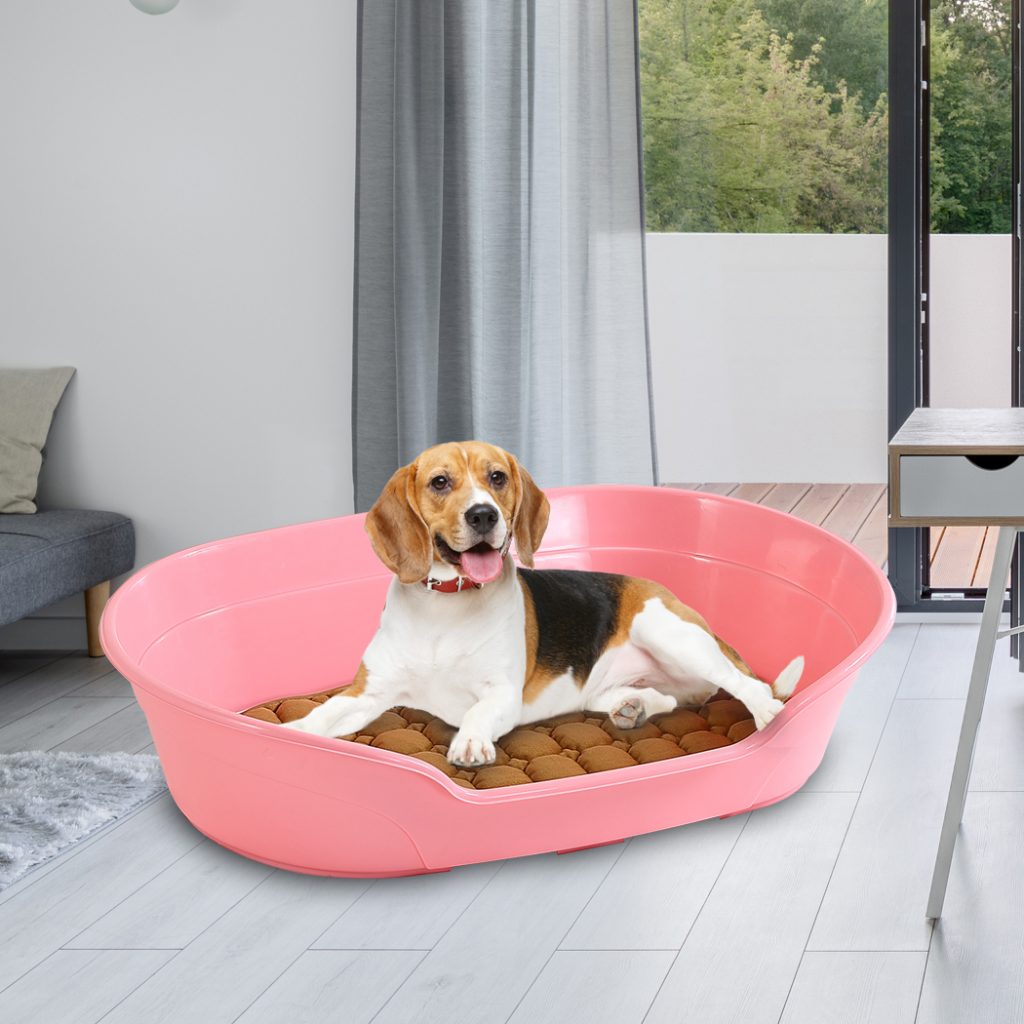 Best Plastic Dog Beds at Lauren Gorman blog